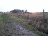 Muddy path to the beach