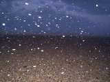 Sand flying in gale force winds